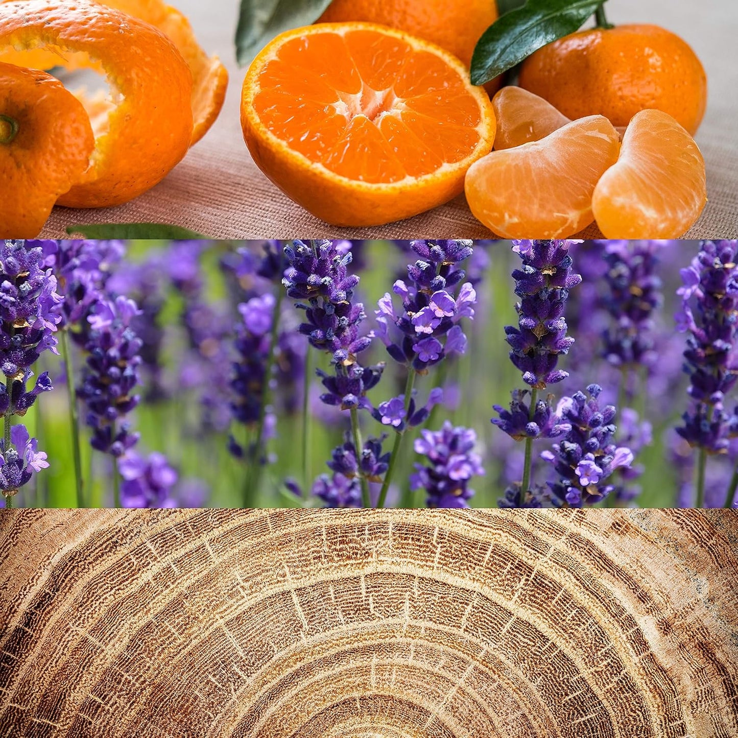 Obsession by Calvin Klein for Men Eau De Toilette Spray 6.7 fl.oz.