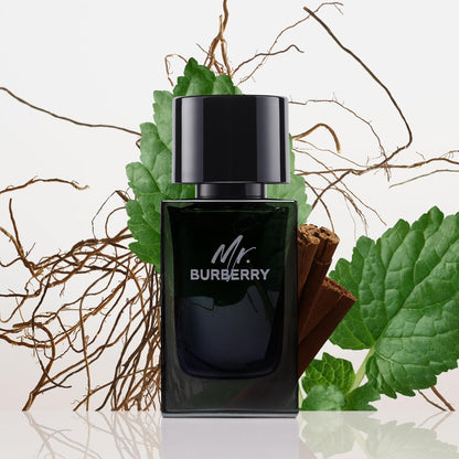 Mr. Burberry by Burberry for Men - 3.3 oz EDP Spray