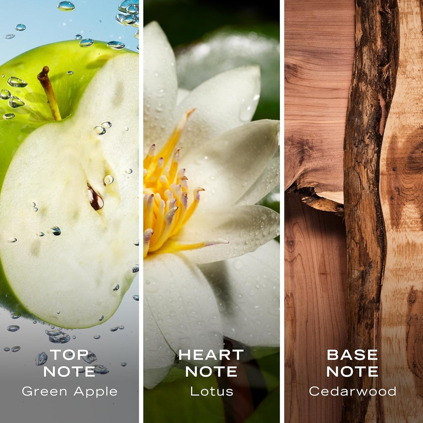 Nautica Voyage by Nautica Eau De Toilette Spray 6.7 fl.oz.