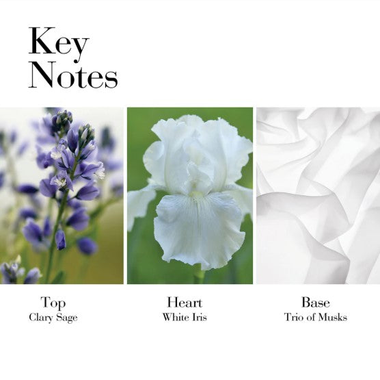 White Tea by Elizabeth Arden Eau De Toilette Spray 30ML