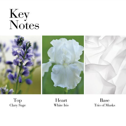 White Tea by Elizabeth Arden Eau De Toilette Spray 30ML