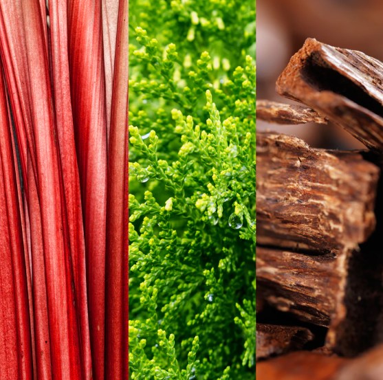 Joop Go for Men by Joop! Eau De Toilette Spray 3.4 oz