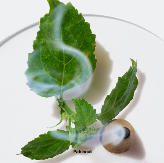 Aromatics Elixir by Clinique for Women - 3.4 oz Perfume Spray