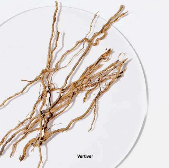 Aromatics Elixir by Clinique for Women - 3.4 oz Perfume Spray