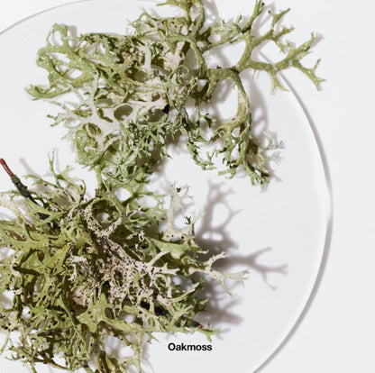 Aromatics Elixir by Clinique for Women - 3.4 oz Perfume Spray